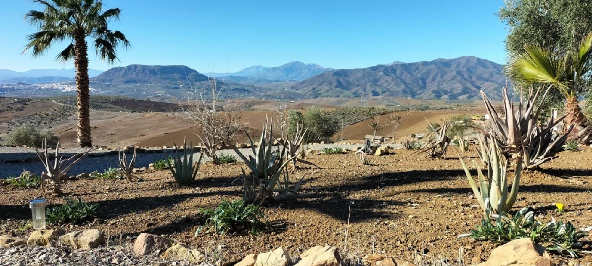 Casa Ceratonia Bed & Breakfast Alora Bagian luar foto