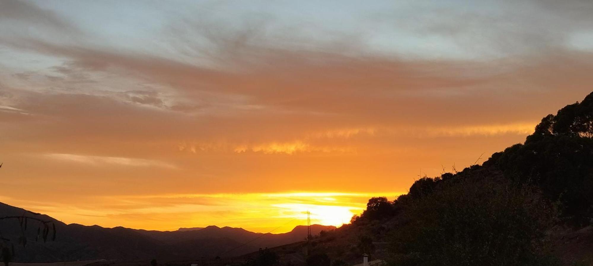Casa Ceratonia Bed & Breakfast Alora Bagian luar foto