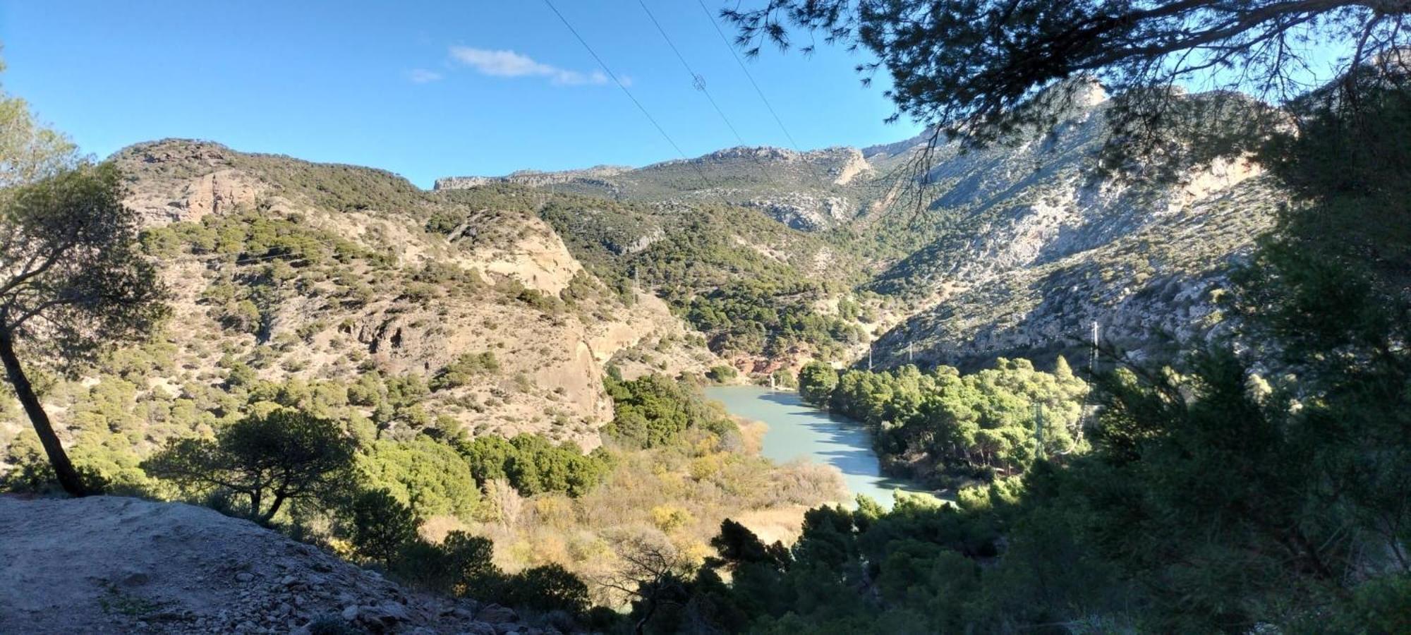 Casa Ceratonia Bed & Breakfast Alora Bagian luar foto