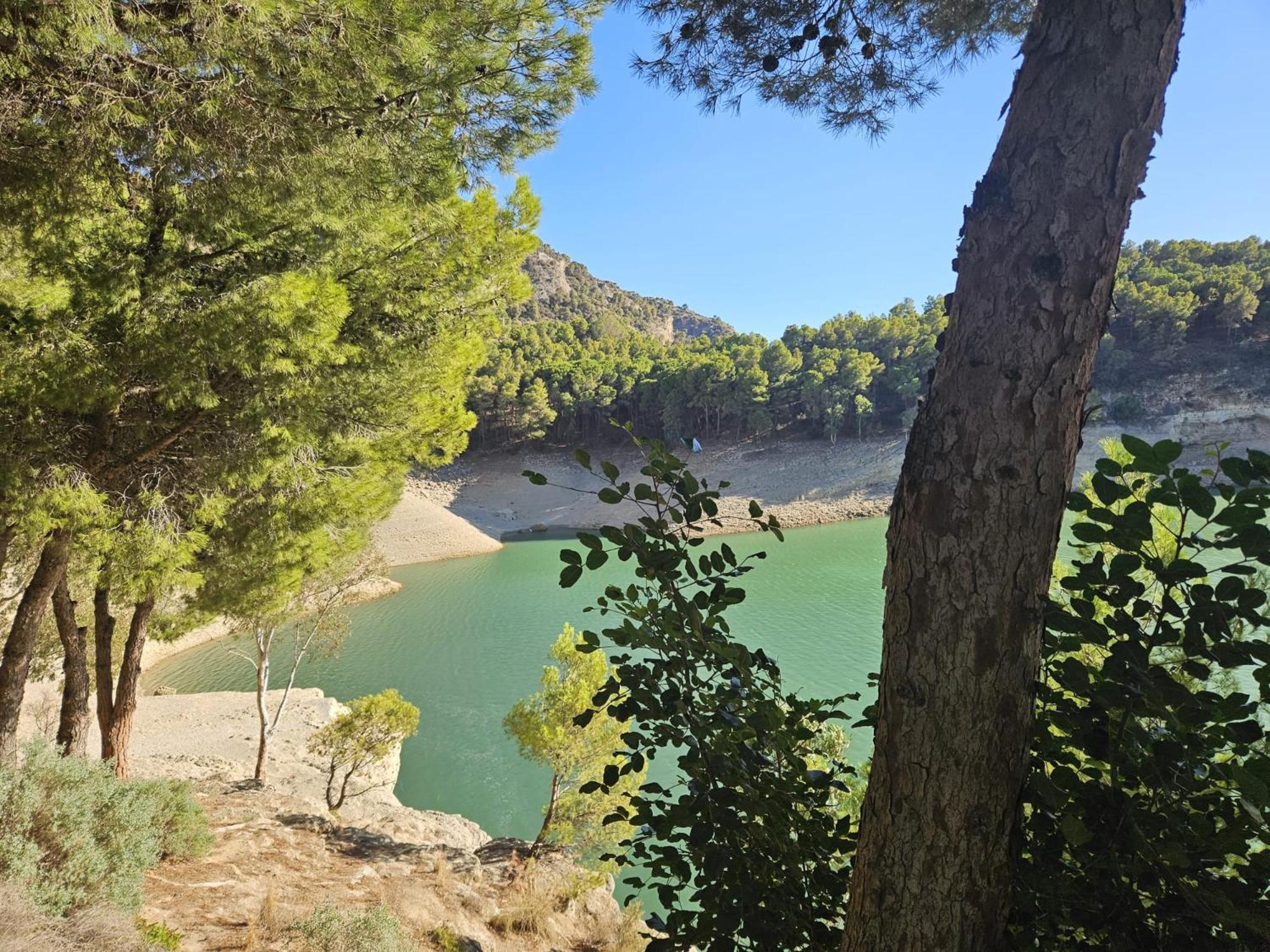 Casa Ceratonia Bed & Breakfast Alora Bagian luar foto